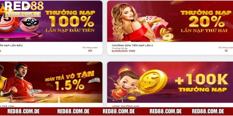 Một số lỗi thường gặp và giải pháp từ hướng dẫn red88